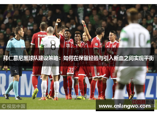 拜仁慕尼黑球队建设策略：如何在保留经验与引入新血之间实现平衡