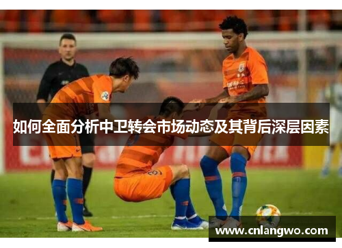 如何全面分析中卫转会市场动态及其背后深层因素