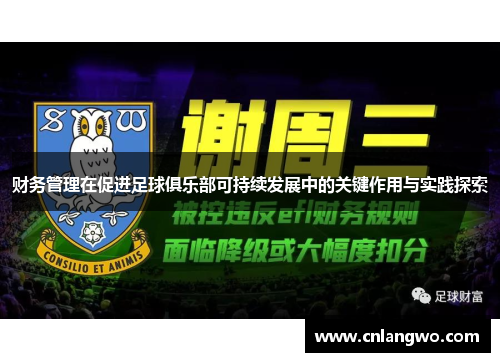 财务管理在促进足球俱乐部可持续发展中的关键作用与实践探索 财务管理在促进足球俱乐部可持续发展中的关键作用与实践探索